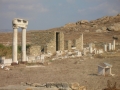 Delos-40