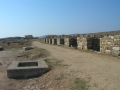 Delos-43