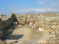 Delos-44